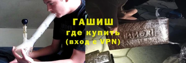 индика Алзамай