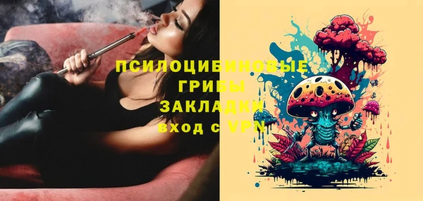индика Алзамай