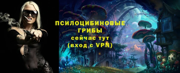 экстази Алексин