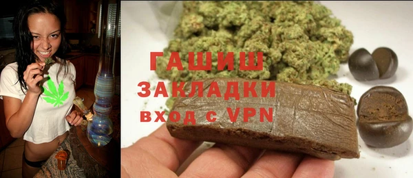 индика Алзамай